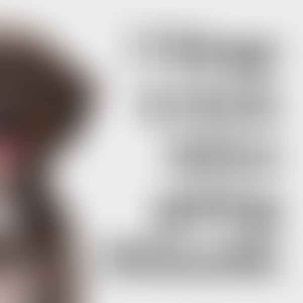 Are Schnoodles Hypoallergenic? - Unveiling the Truth