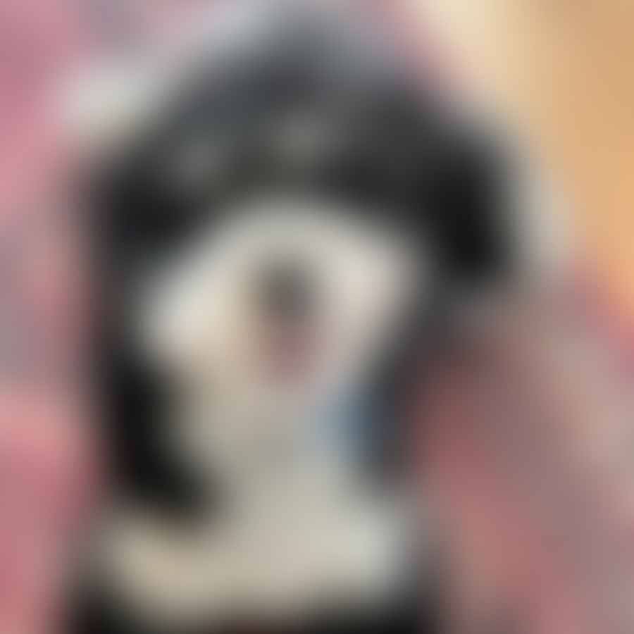 A vocal Bernedoodle dog barking