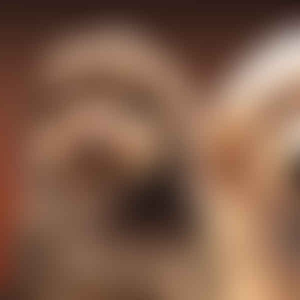 How Big Do Golden Doodles Get? - Preparing for Your Puppy's Growth