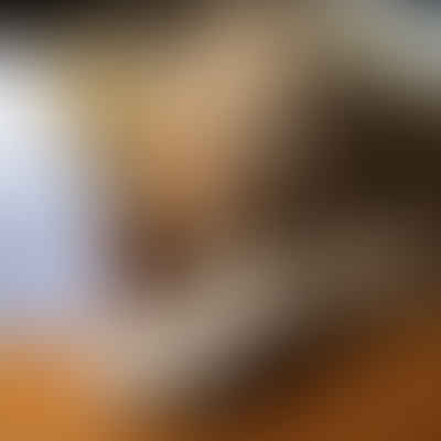 How to Train a Goldendoodle Puppy: Essential Tips and Techniques