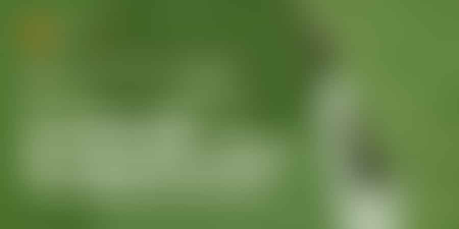 Cracking the Bernedoodle: What You Need to Know - 🐶 Unleashing Bernedoodle Behavior