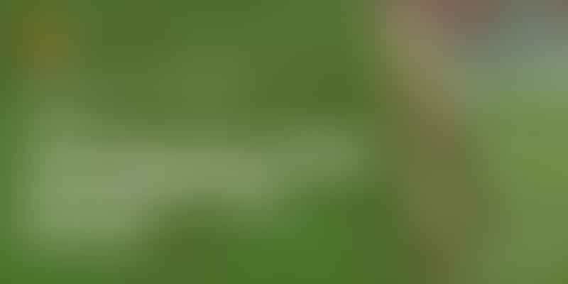 Unveiling the Health of 'Combo' Dog Breeds - 🐶 Are Golden Doodles Healthy?