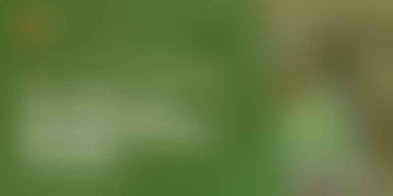 The Ethics of Breeding Golden Doodles - 🐶 Ethical Doodle Breeding