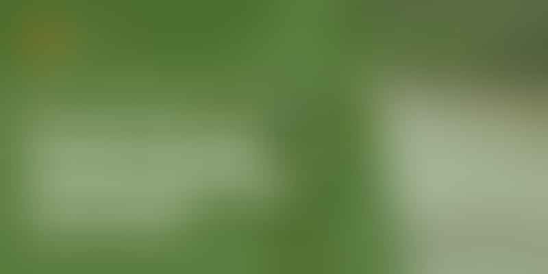 Golden Doodle Ownership: Pros and Cons - 🐶 The Good and the Bad 🐾