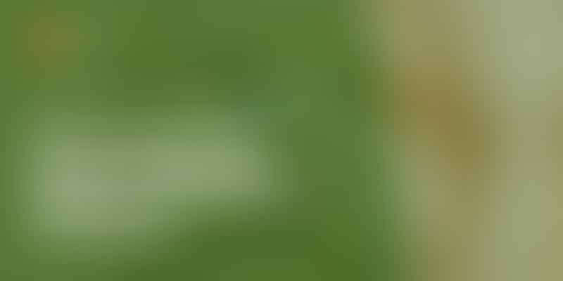 Unlocking the Golden Doodle's Lifespan - Longevity Revealed 🐾