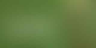 Calculate Golden Doodle Costs - Budget for Your Furry Friend