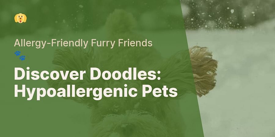 Discover Doodles: Hypoallergenic Pets - Allergy-Friendly Furry Friends πΎ