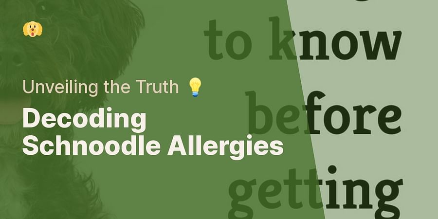 Decoding Schnoodle Allergies - Unveiling the Truth ๐ก