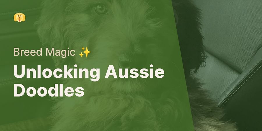 Unlocking Aussie Doodles - Breed Magic ✨