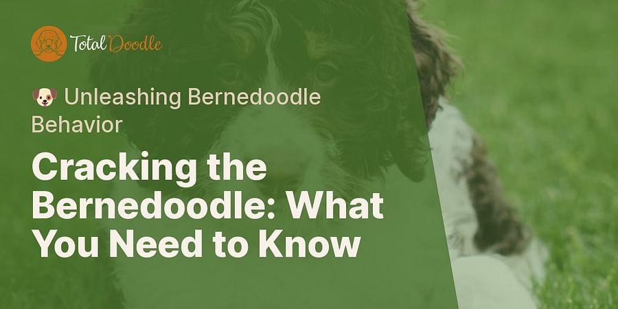 Cracking the Bernedoodle: What You Need to Know - ๐ถ Unleashing Bernedoodle Behavior