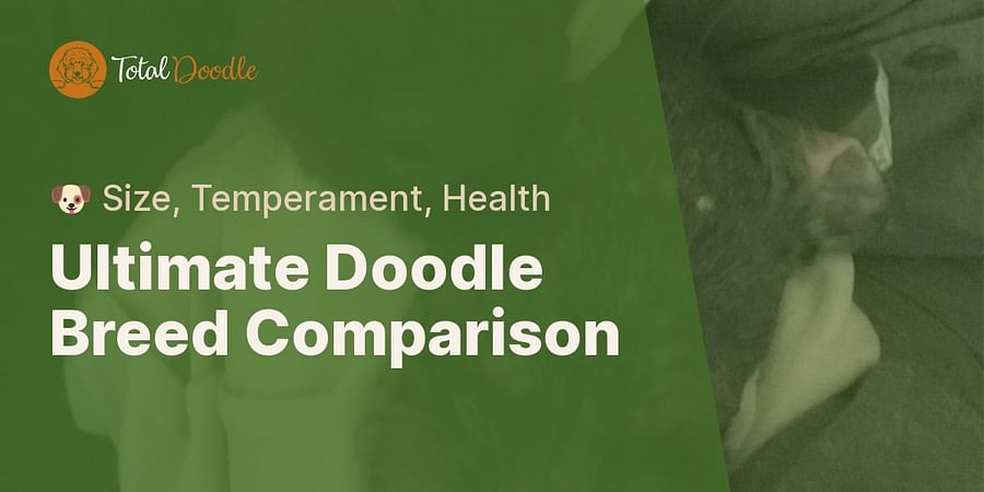 Ultimate Doodle Breed Comparison - ๐ถ Size, Temperament, Health