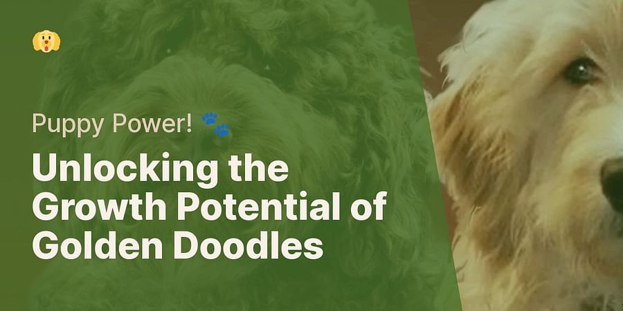 Unlocking the Growth Potential of Golden Doodles - Puppy Power! ๐พ