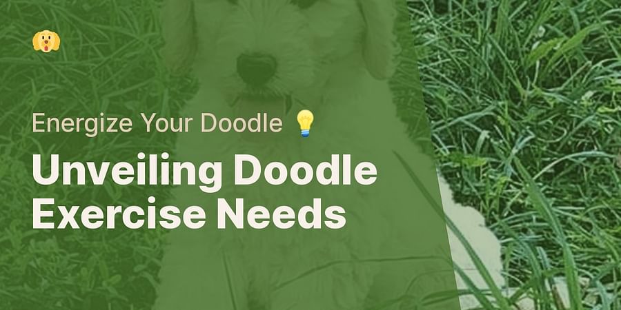 Unveiling Doodle Exercise Needs - Energize Your Doodle 💡
