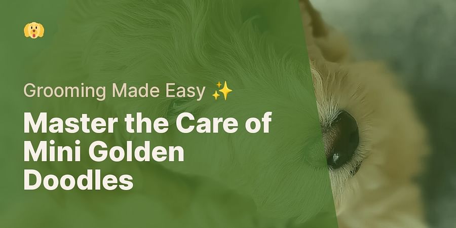 Master the Care of Mini Golden Doodles - Grooming Made Easy ✨