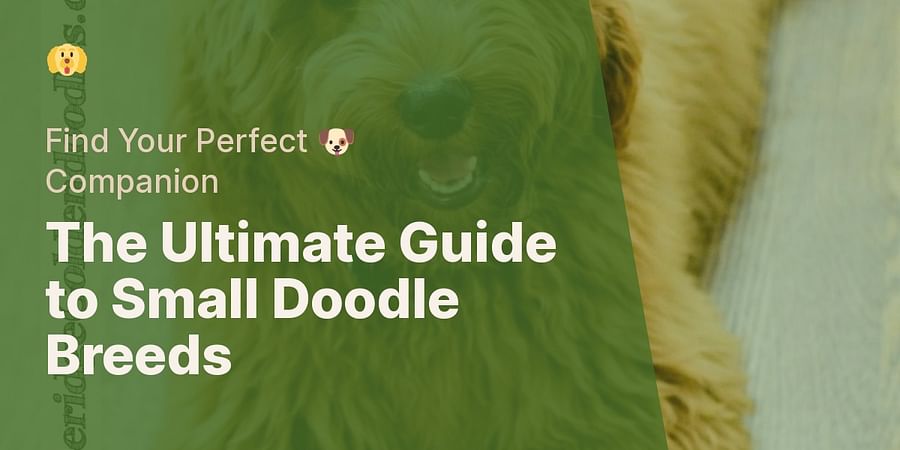 The Ultimate Guide to Small Doodle Breeds - Find Your Perfect 🐶 Companion