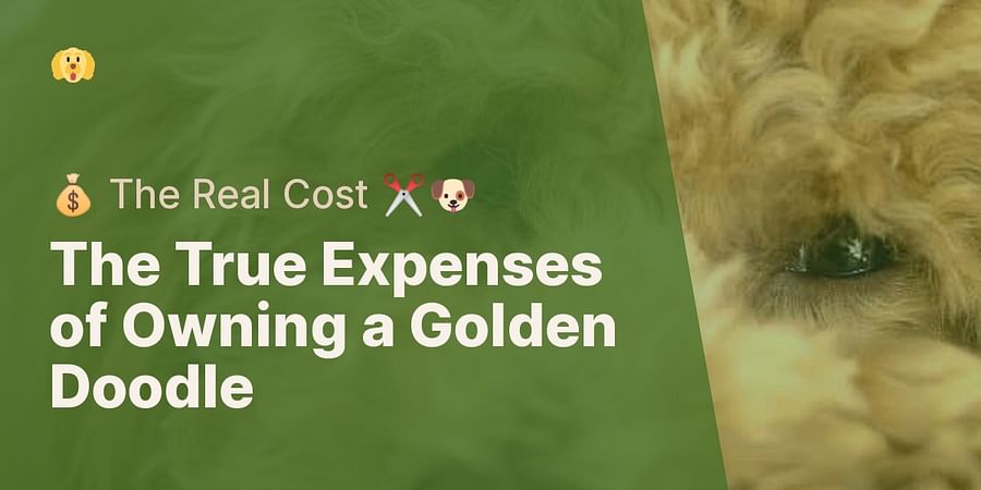 The True Expenses of Owning a Golden Doodle - ๐ฐ The Real Cost โ๏ธ๐ถ