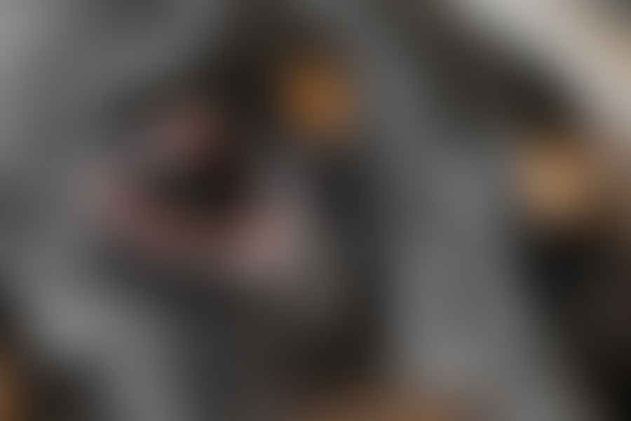 Eye disorders in dogs