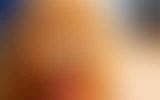 What are mini golden doodles known for?